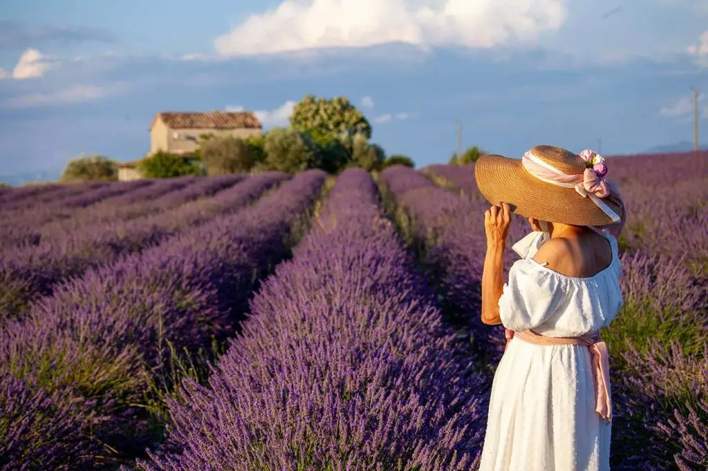 Woman in white dress and sun hat walking through lavender fields in Provence, France during a summer tour