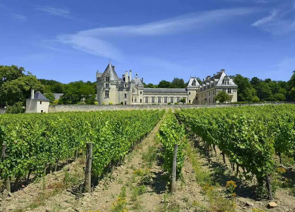 Vineyard and historic château in the Loire Valley France, showcasing wine tourism and scenic countryside views
