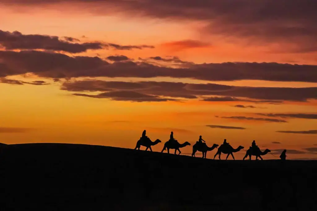 Camel caravan crossing the Erg Chebbi sand dunes in Merzouga, Morocco at sunset during a desert tour