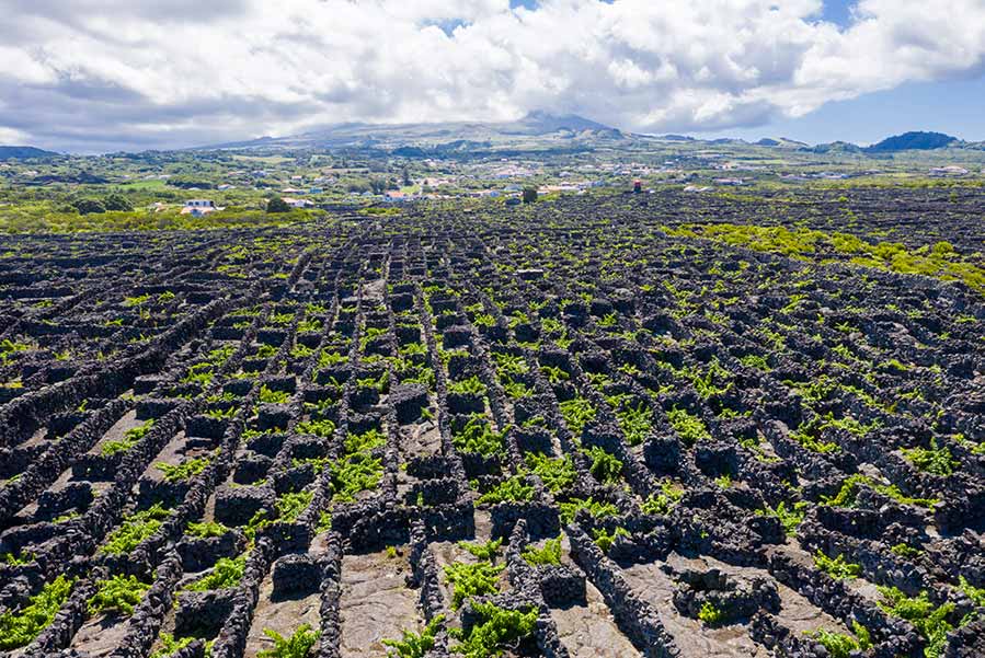 Pico Vineyards, Azores, Portugal