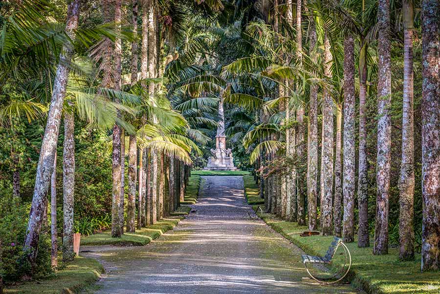 Terra Nostra Park at Azores, Sao Miguel, Portugal