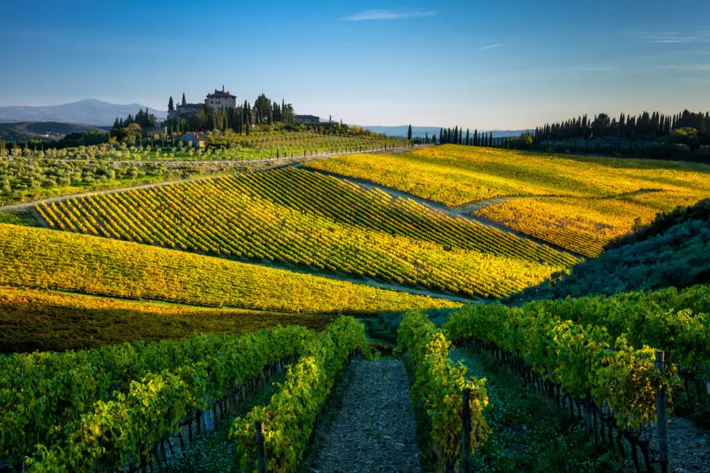 Autumn Chianti vineyard landscape in San Donato in Perano near Radda in Chianti, Tuscany, Italy, featuring rolling hills, golden vines, and a scenic countryside view